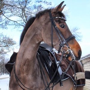 Meet your Posher, Daniela